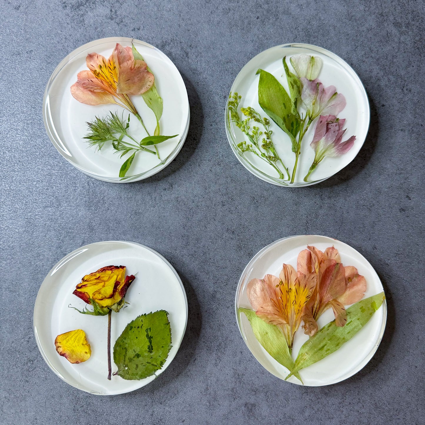 Preservation Flowers Coasters