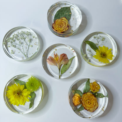 Preservation Flowers Coasters