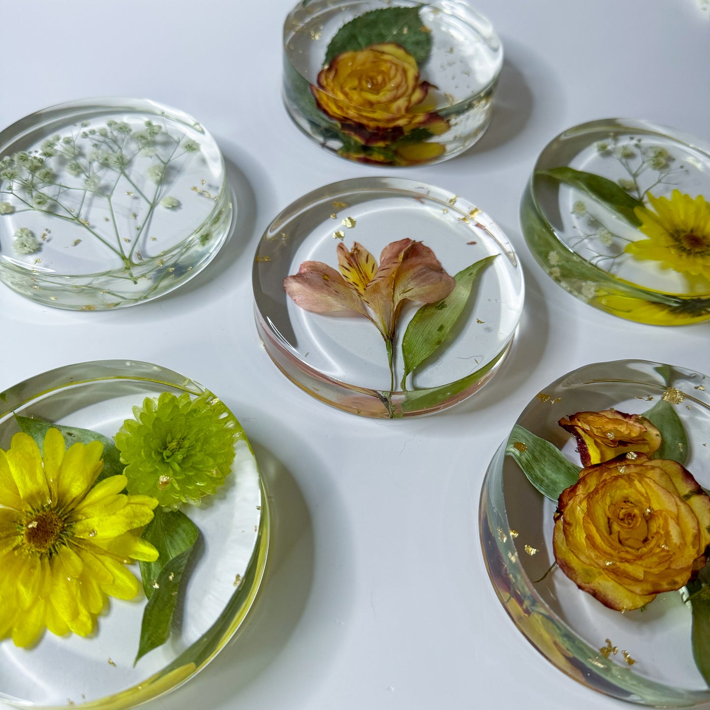 Preservation Flowers Coasters