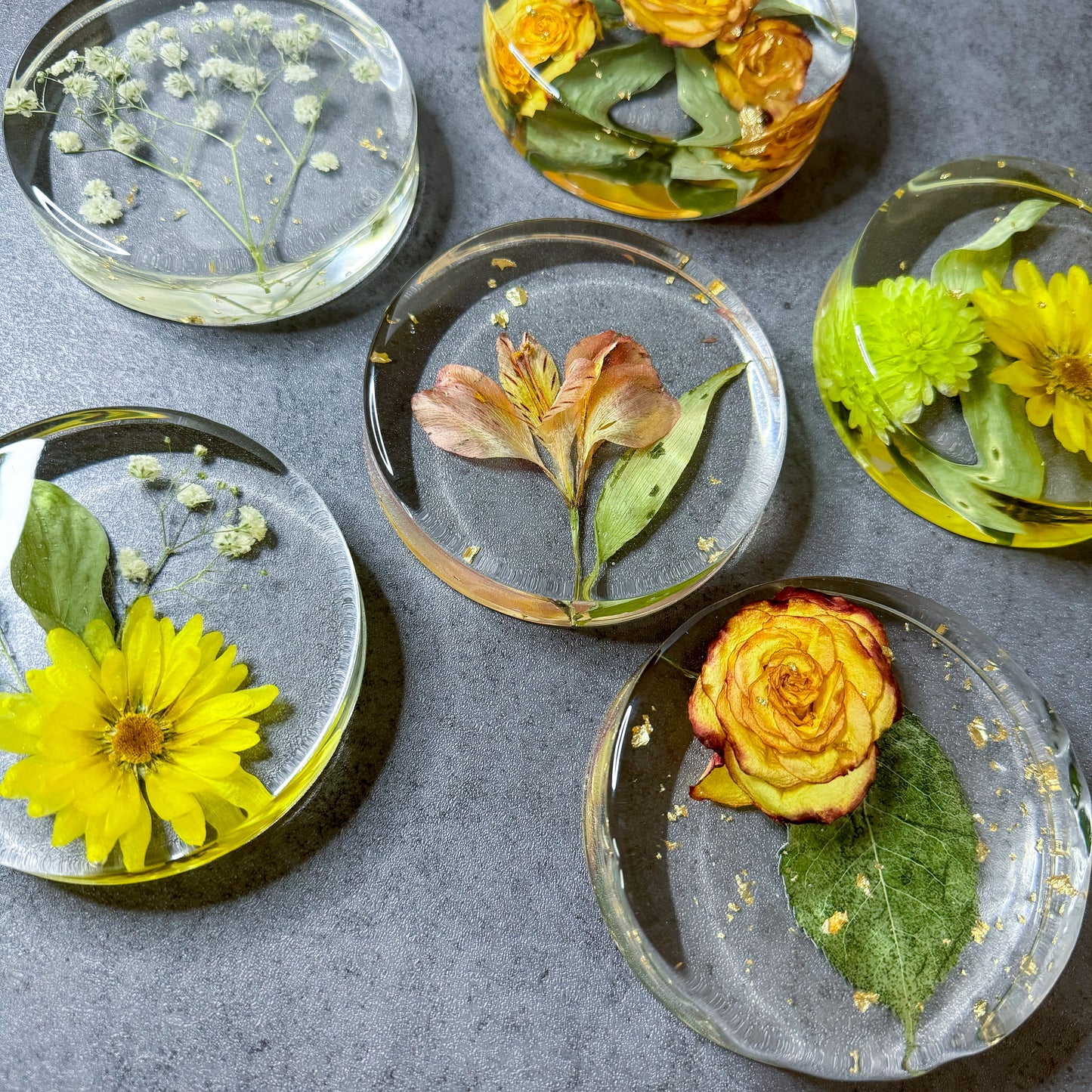 Preservation Flowers Coasters