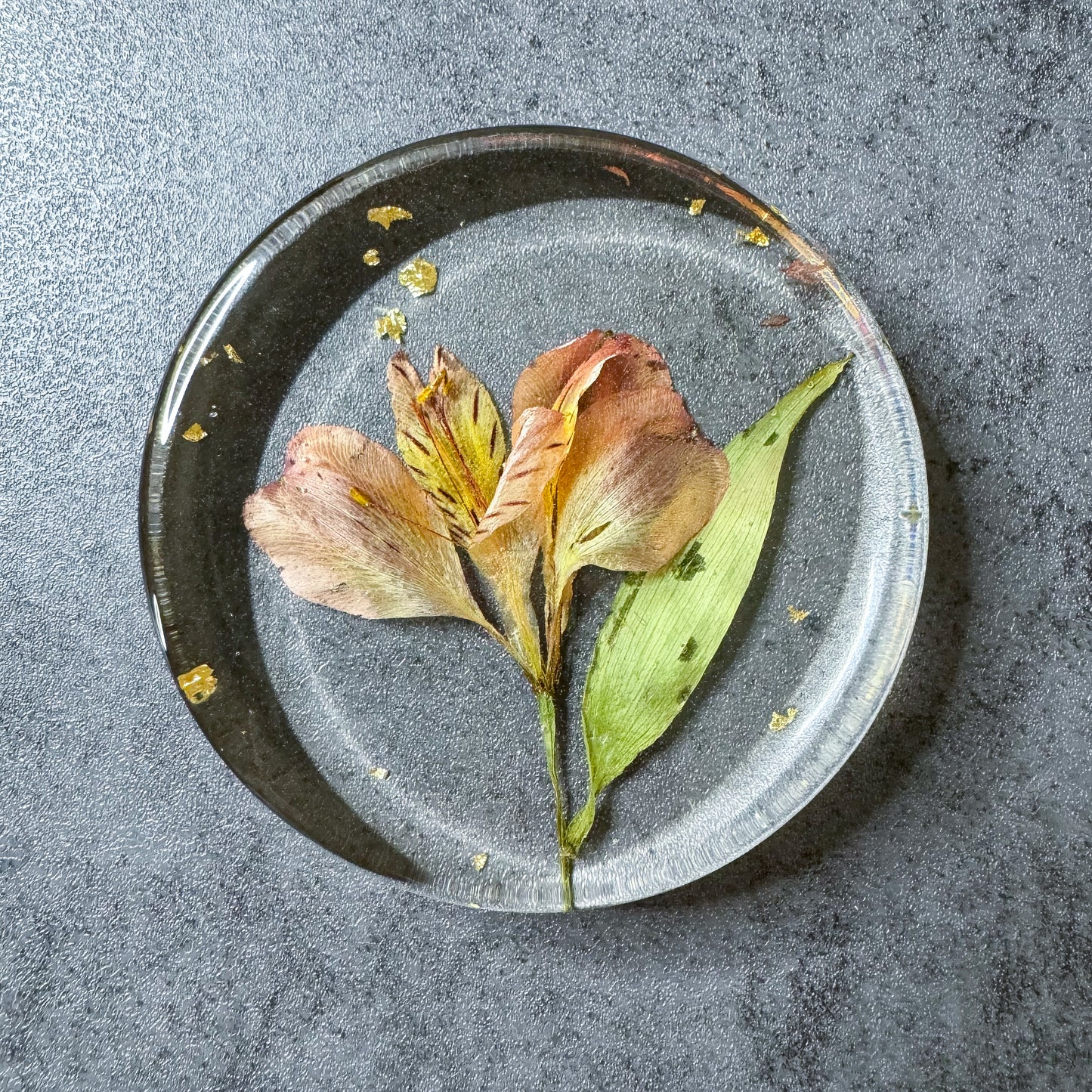 Preservation Flowers Coasters