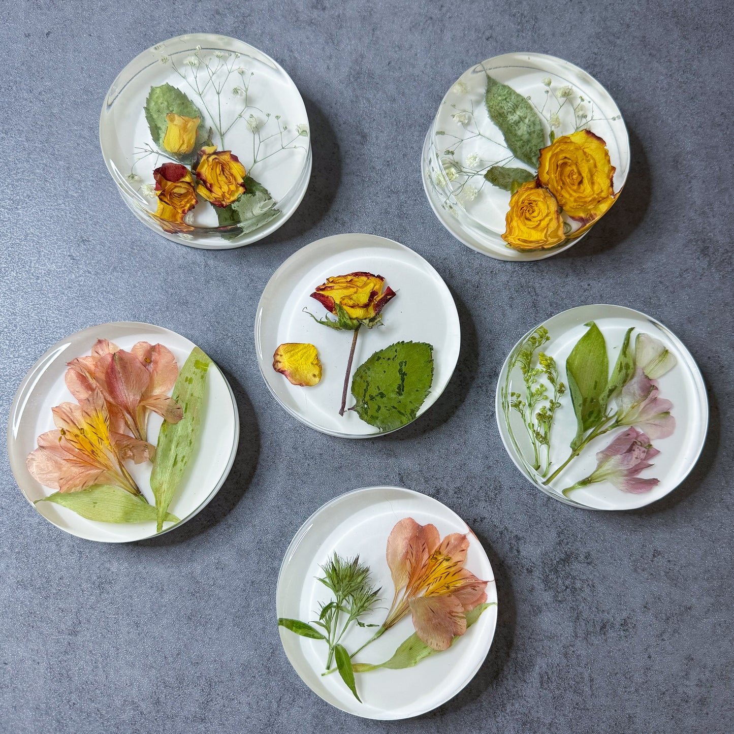 Preservation Flowers Coasters