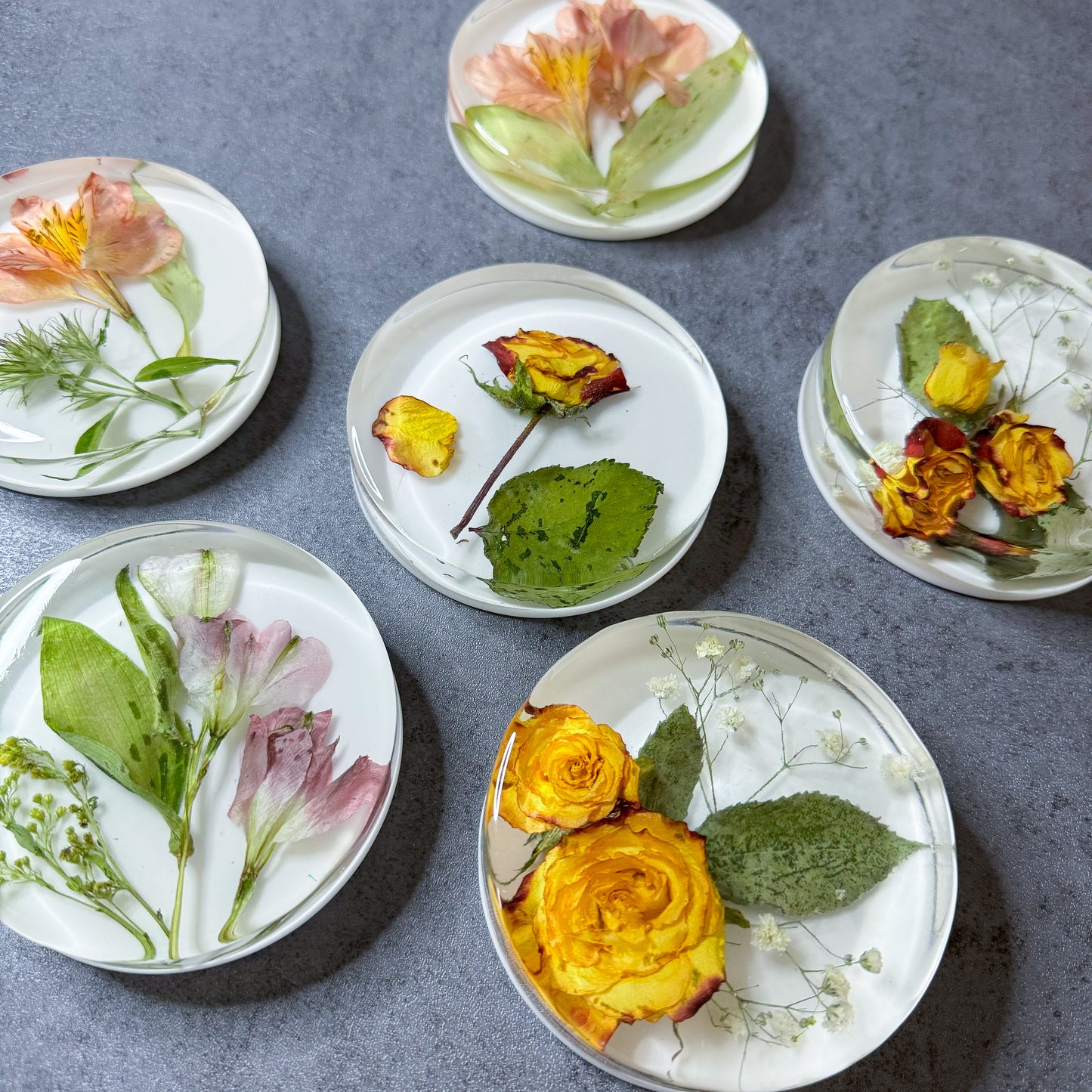 Preservation Flowers Coasters